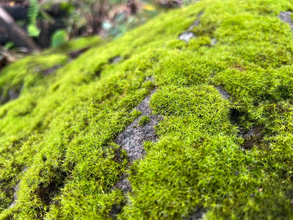 f:id:chitoseclimb:20250930220132j:image