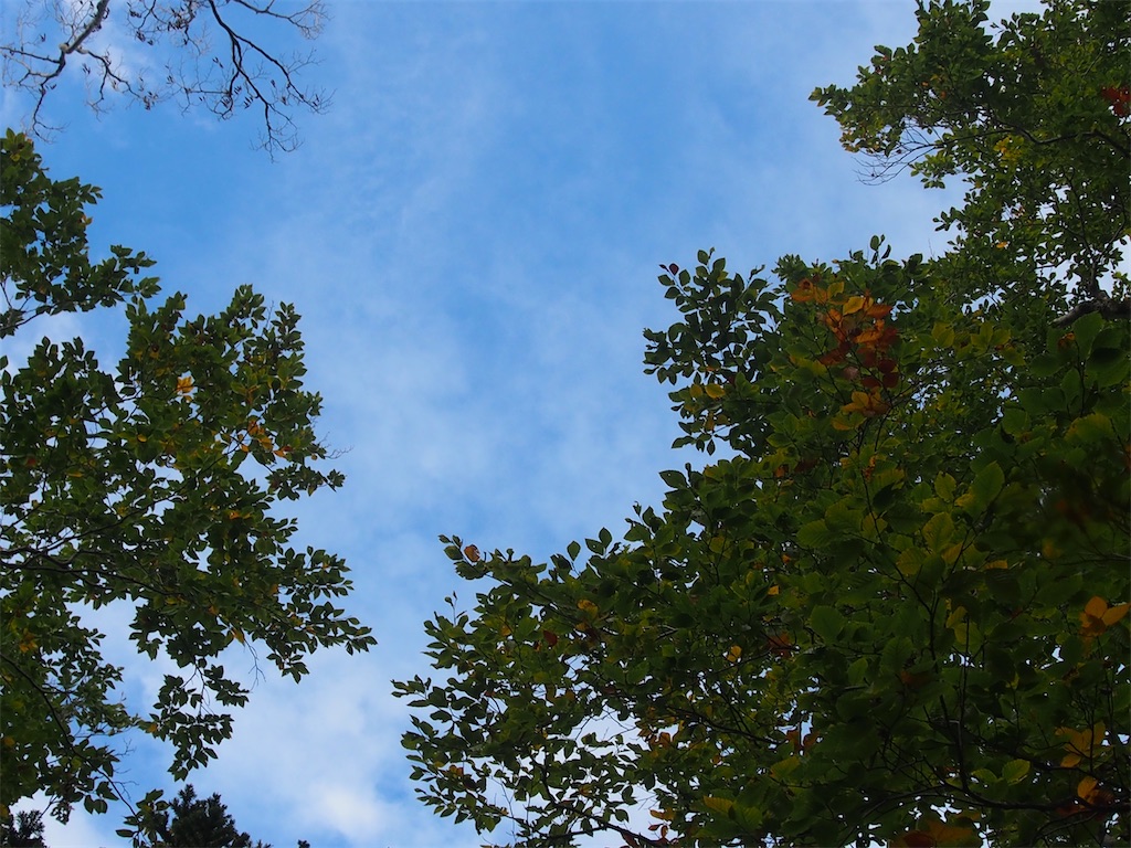 f:id:chitoseclimb:20251022192450j:image f:id:chitoseclimb:20251022192450j:image