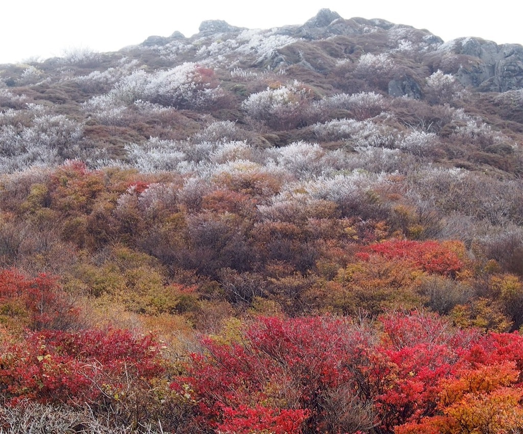 f:id:chitoseclimb:20251130202655j:image