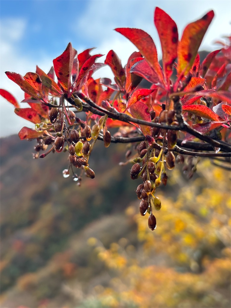 f:id:chitoseclimb:20251130203216j:image