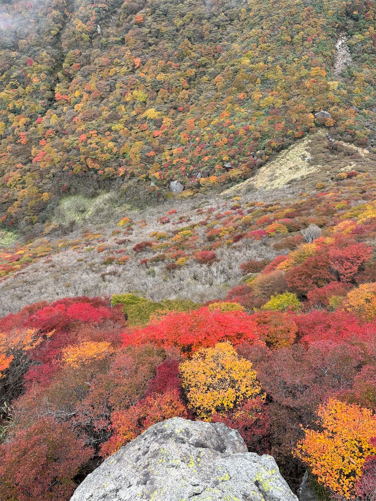 f:id:chitoseclimb:20251130203448j:image