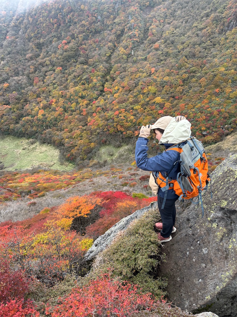 f:id:chitoseclimb:20251130203454j:image