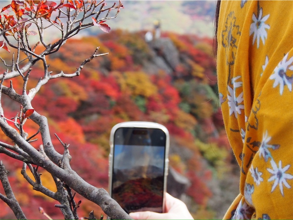 f:id:chitoseclimb:20251130203506j:image