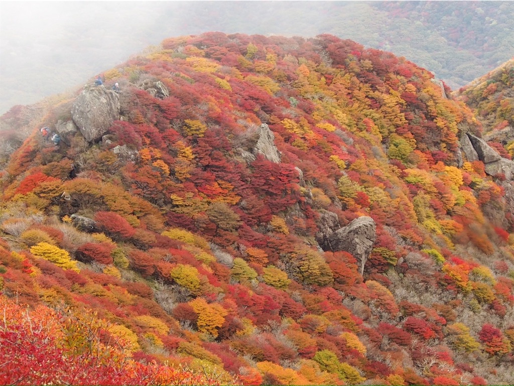 f:id:chitoseclimb:20251130203538j:image