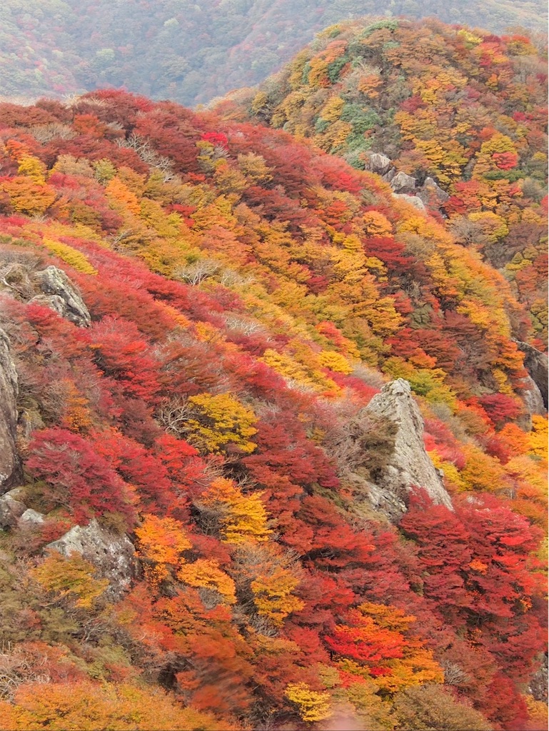 f:id:chitoseclimb:20251130203544j:image