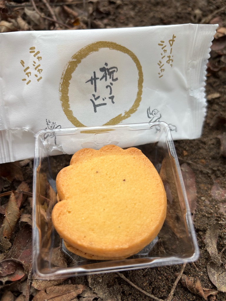 f:id:chitoseclimb:20251130212047j:image