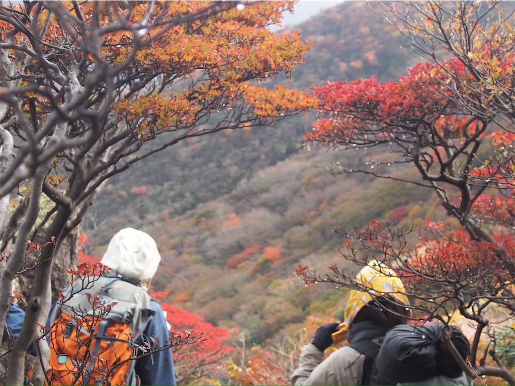 f:id:chitoseclimb:20251130214750j:image