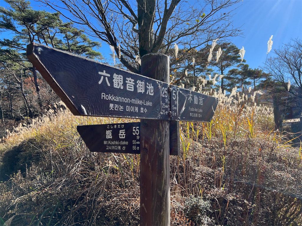 f:id:chitoseclimb:20251207195335j:image