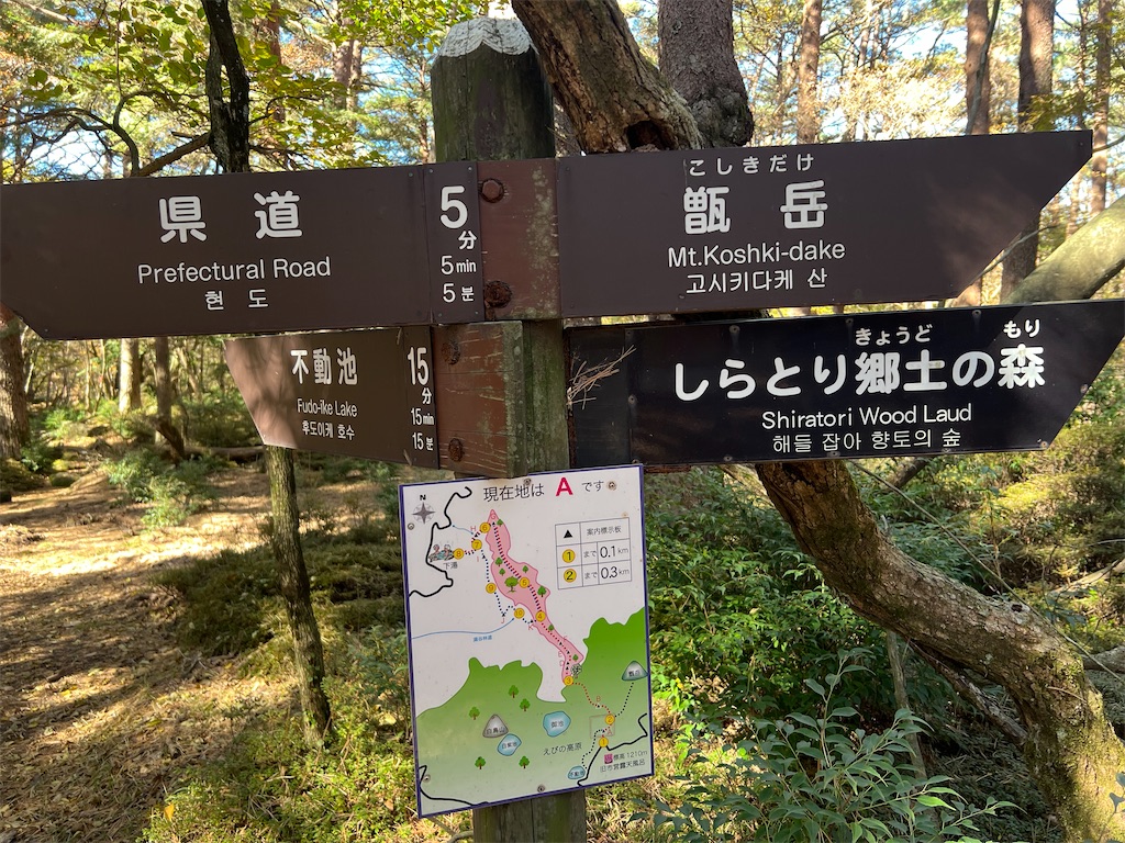 f:id:chitoseclimb:20251207195418j:image