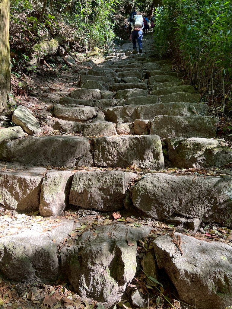 f:id:chitoseclimb:20251231111400j:image