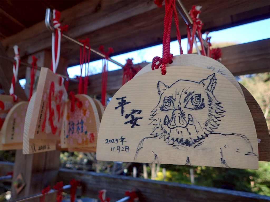 f:id:chitoseclimb:20251231140918j:image
