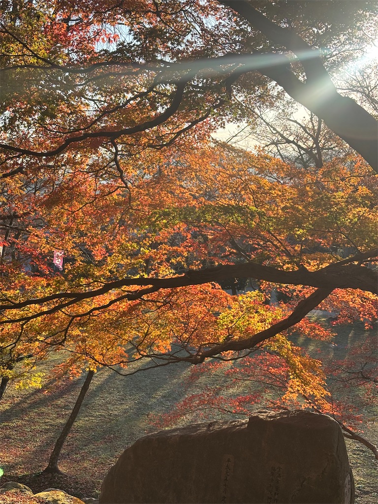 f:id:chitoseclimb:20251231141253j:image