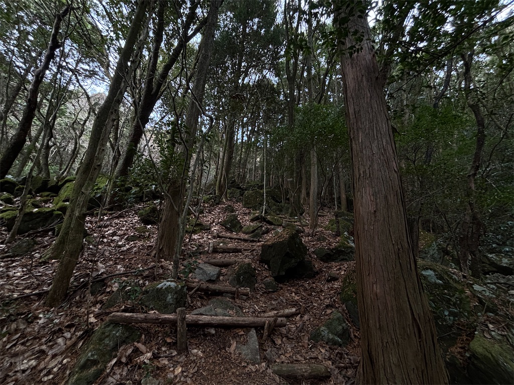 f:id:chitoseclimb:20260112143912j:image