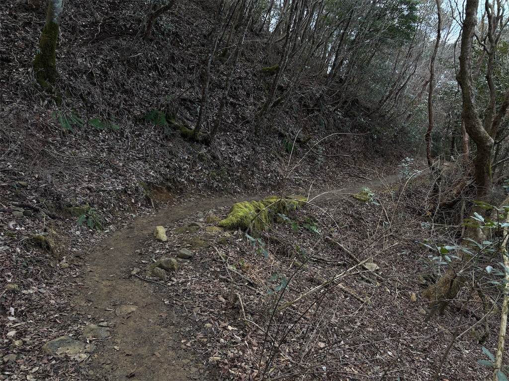 f:id:chitoseclimb:20260112143916j:image