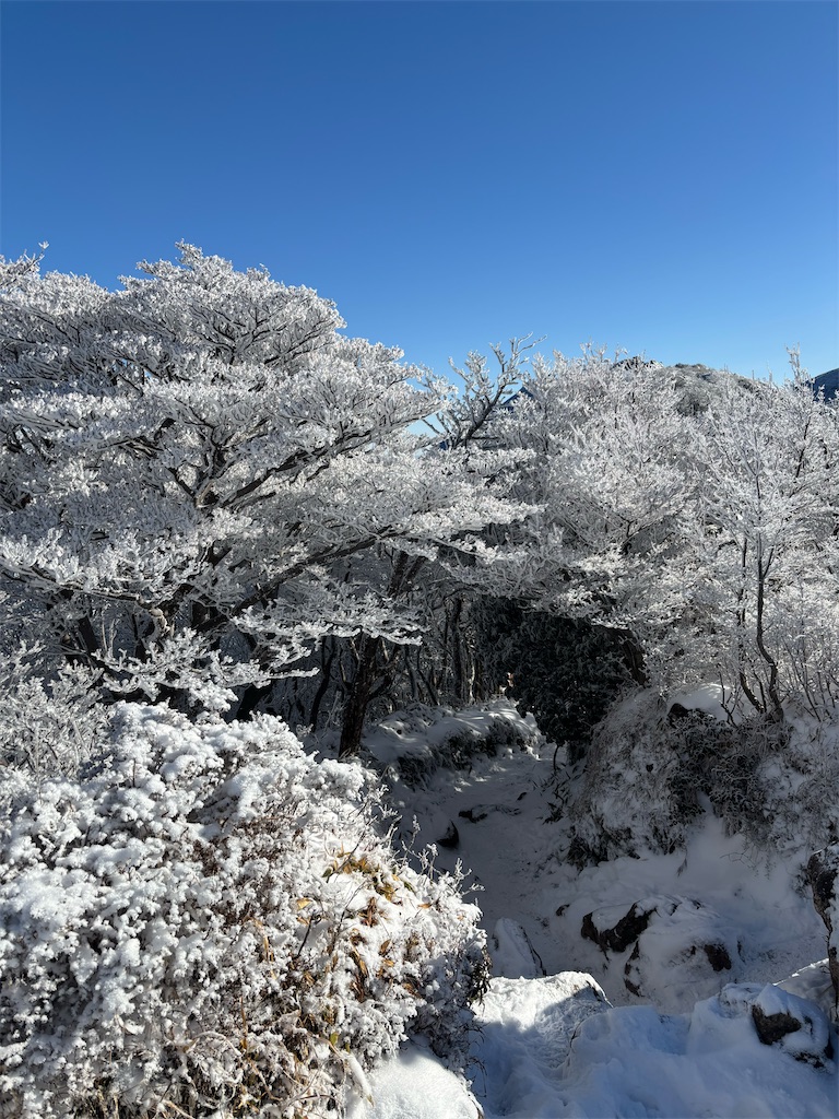 f:id:chitoseclimb:20260114001216j:image