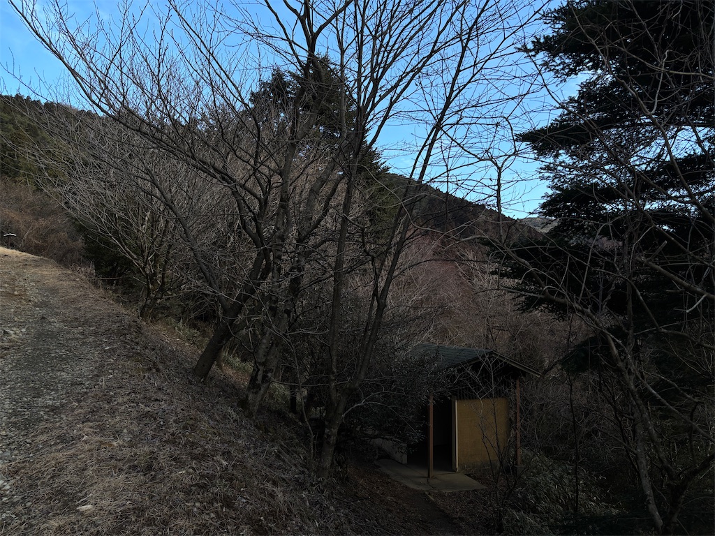 f:id:chitoseclimb:20260122030649j:image