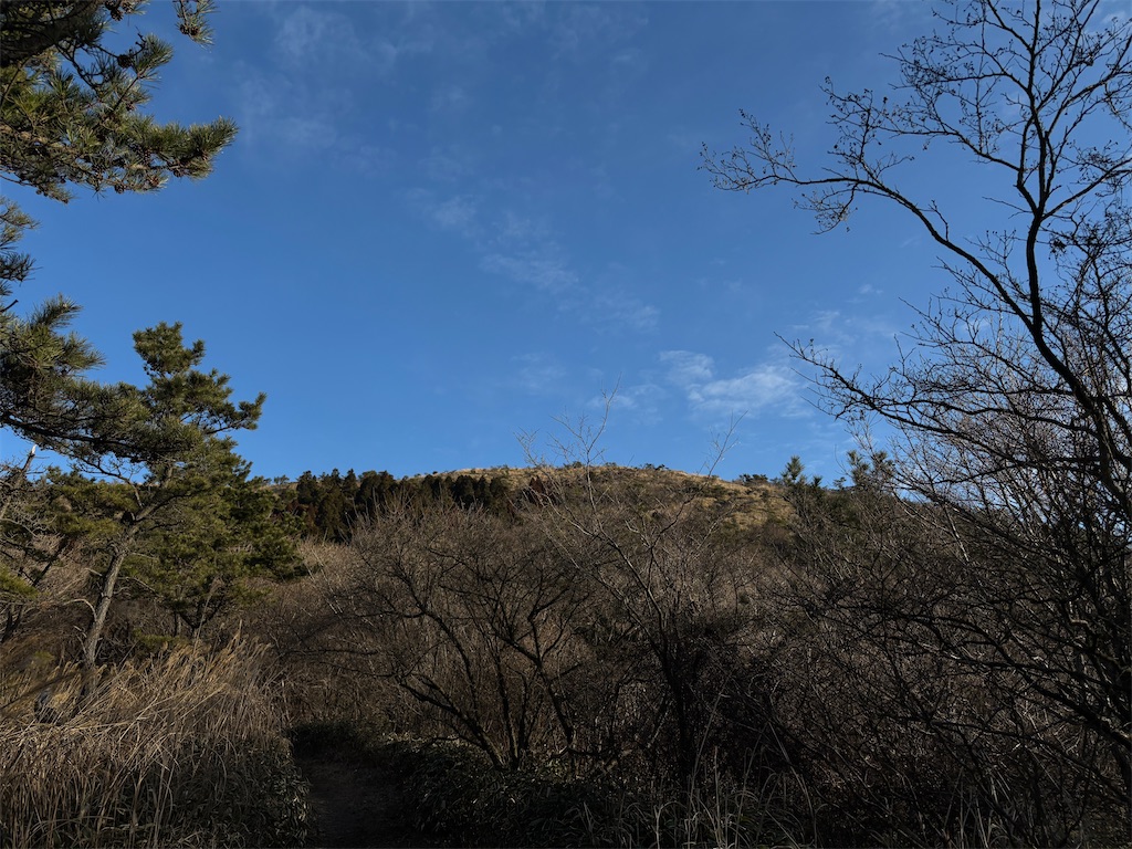 f:id:chitoseclimb:20260122030725j:image