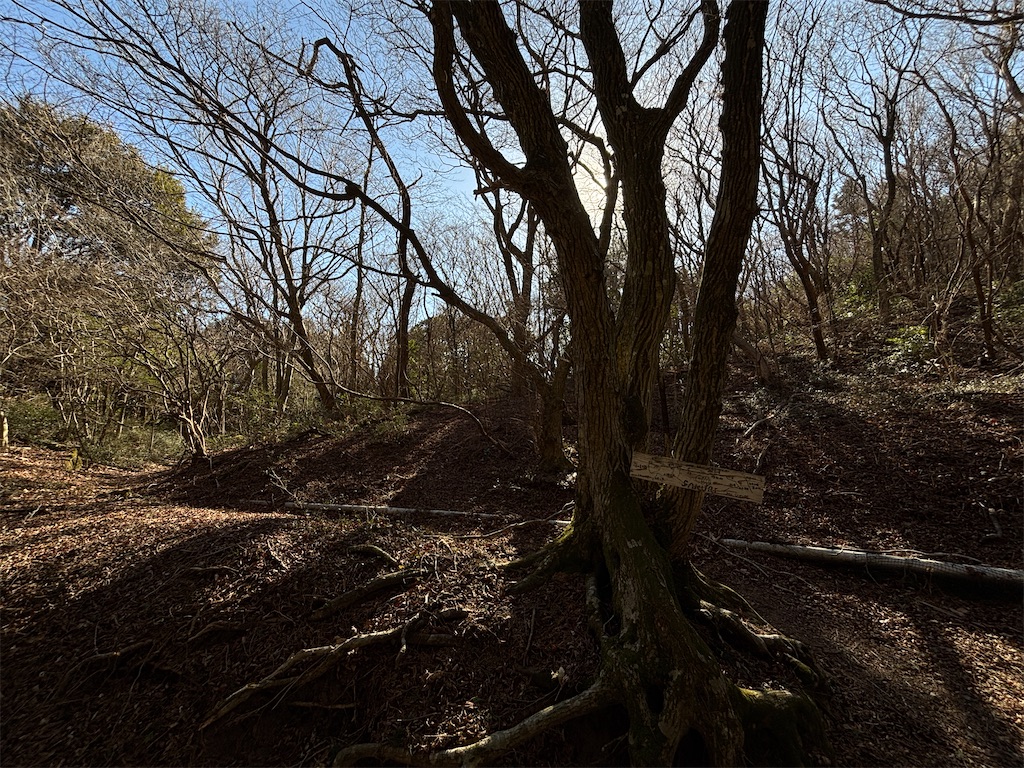 f:id:chitoseclimb:20260122030904j:image