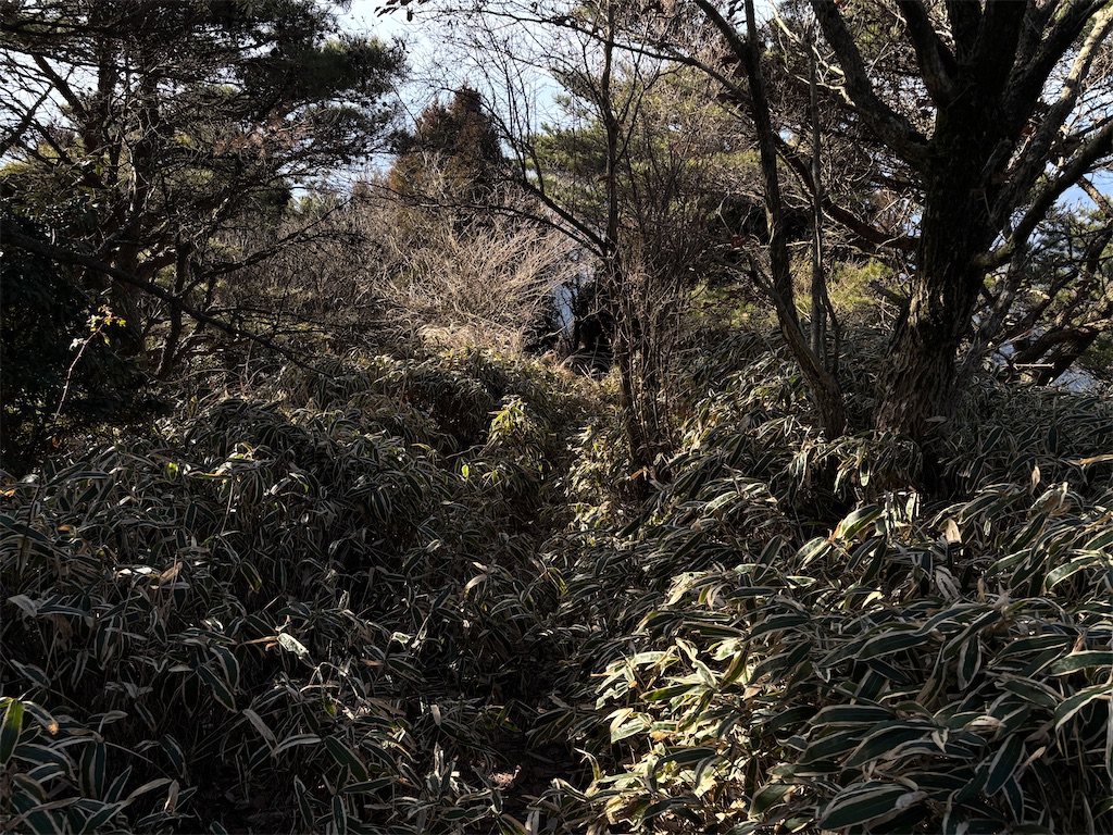 f:id:chitoseclimb:20260122030917j:image