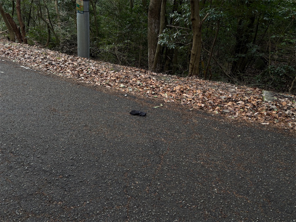 f:id:chitoseclimb:20260125221633j:image