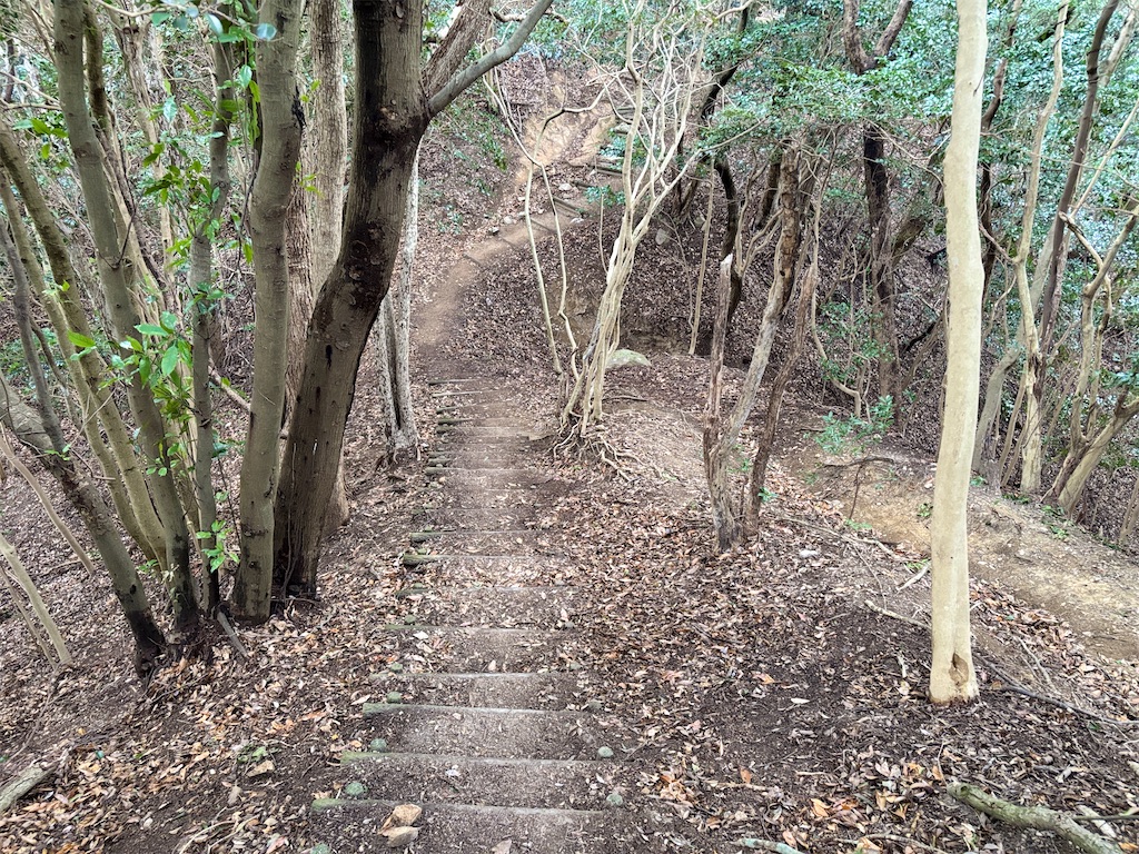 f:id:chitoseclimb:20260125221649j:image