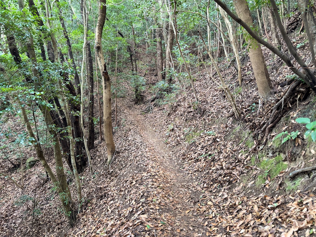 f:id:chitoseclimb:20260125221653j:image