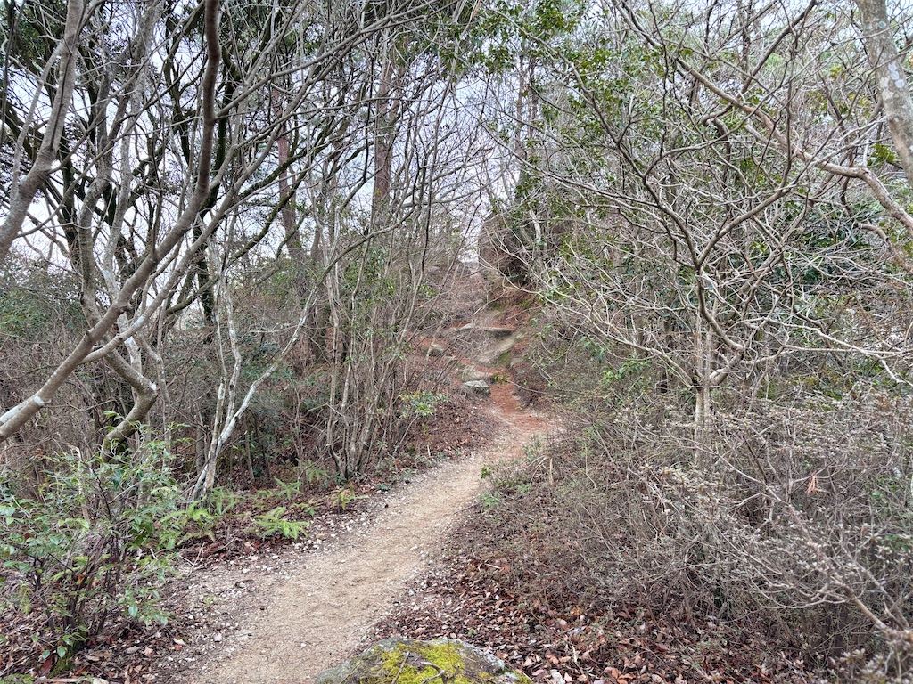 f:id:chitoseclimb:20260125221731j:image