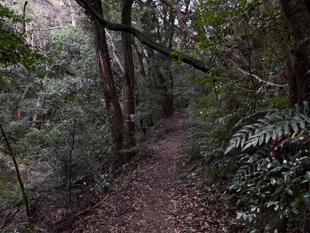 f:id:chitoseclimb:20260125221740j:image