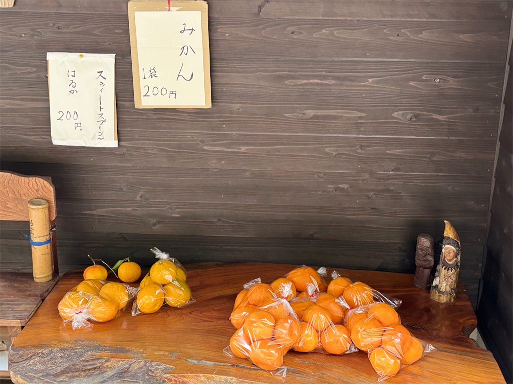 f:id:chitoseclimb:20260125222106j:image