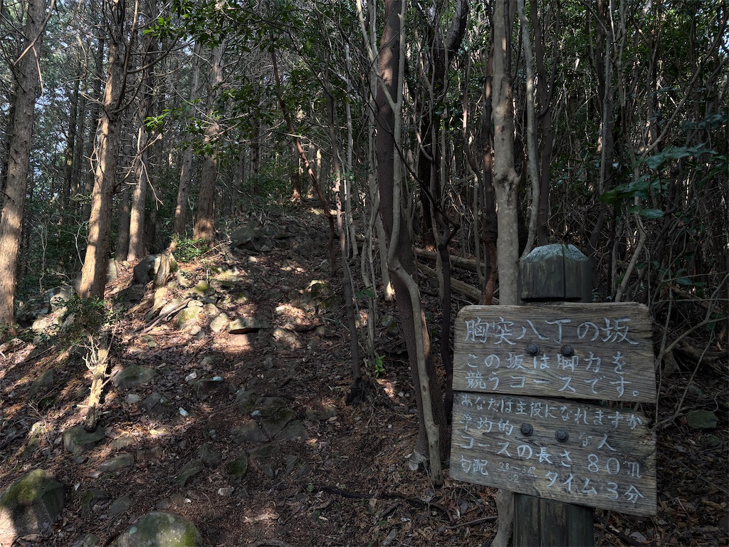 f:id:chitoseclimb:20260125222211j:image
