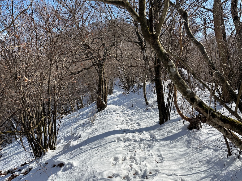 f:id:chitoseclimb:20260205011011j:image