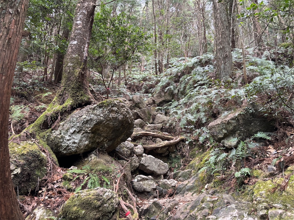 f:id:chitoseclimb:20260208231319j:image