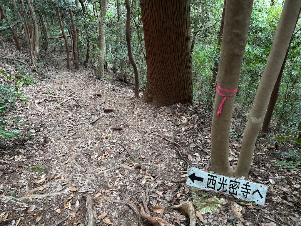 f:id:chitoseclimb:20260208231451j:image