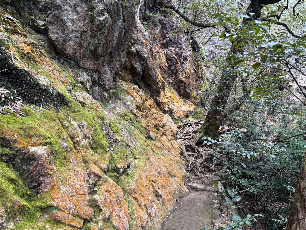 f:id:chitoseclimb:20260208231538j:image