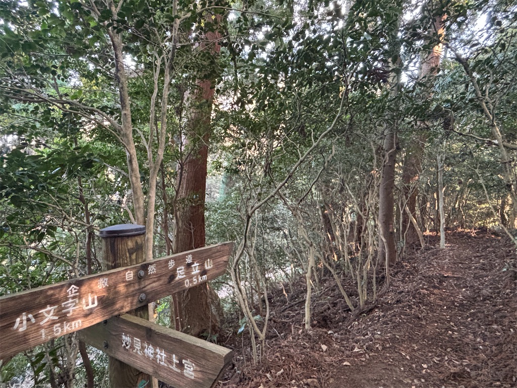 f:id:chitoseclimb:20260215090741j:image
