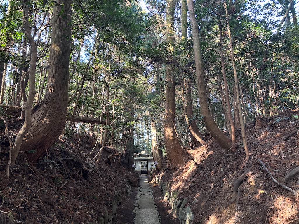 f:id:chitoseclimb:20260215090757j:image