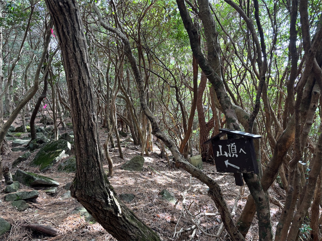 f:id:chitoseclimb:20260221153626j:image