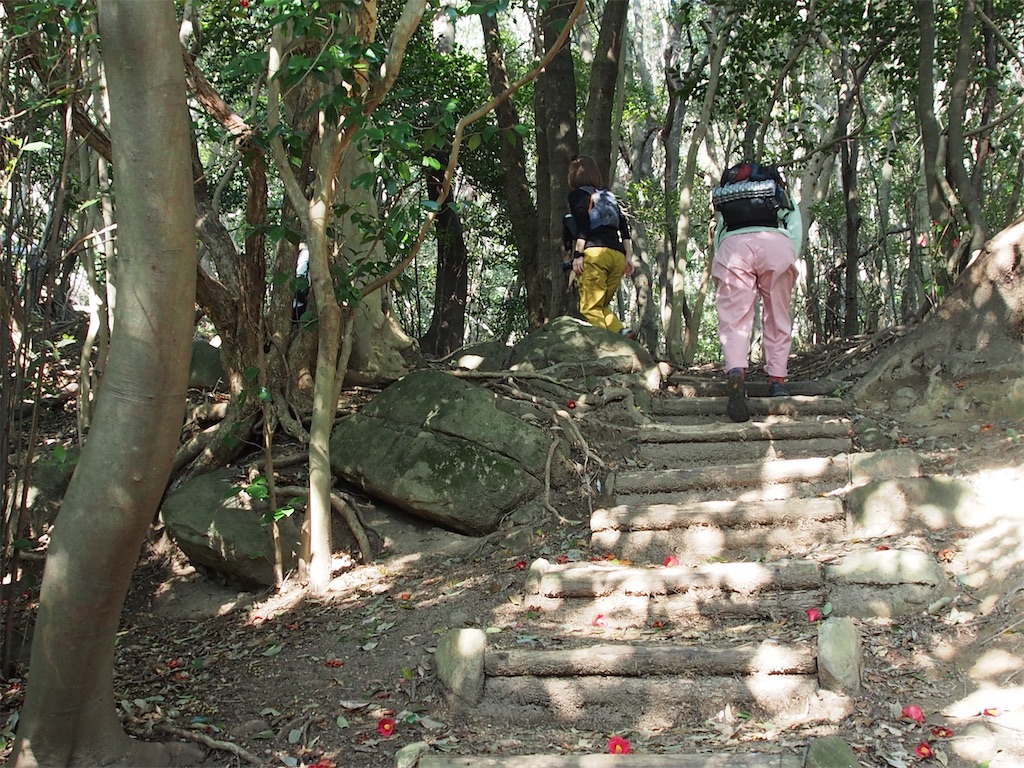 f:id:chitoseclimb:20260321195749j:image