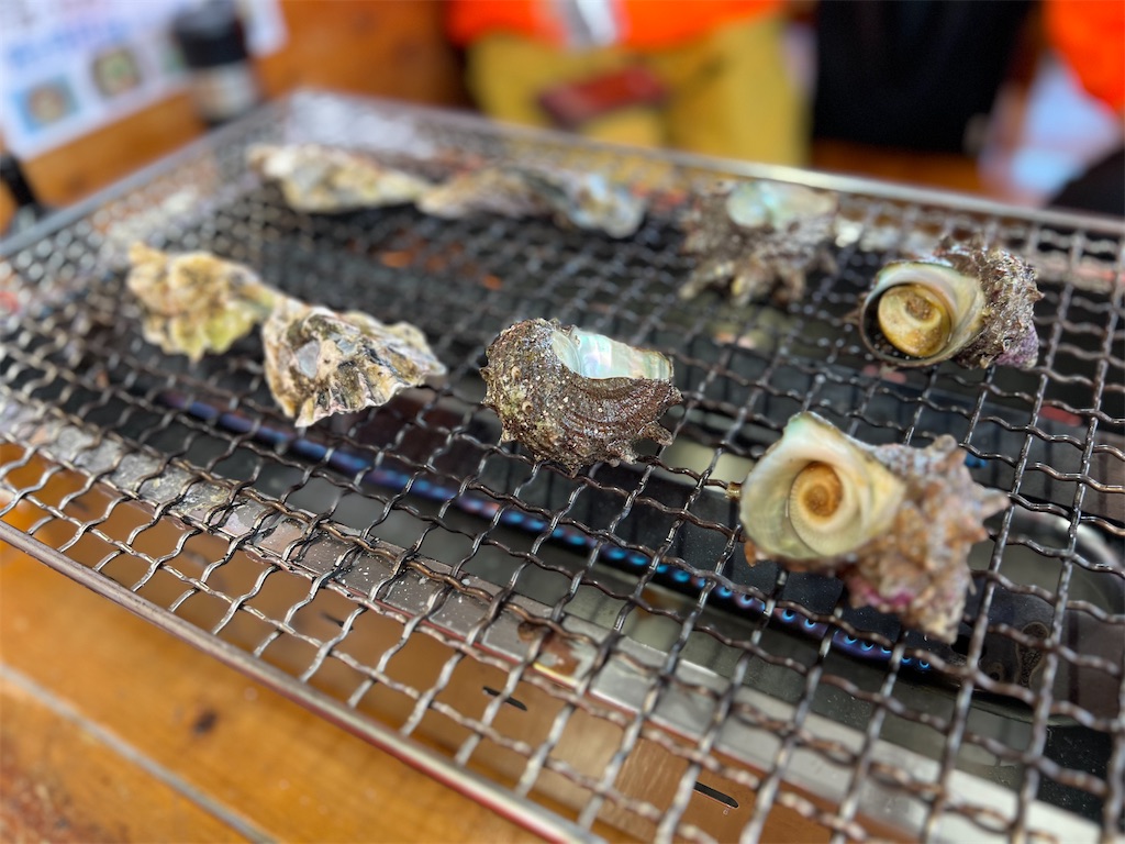 f:id:chitoseclimb:20260321201513j:image