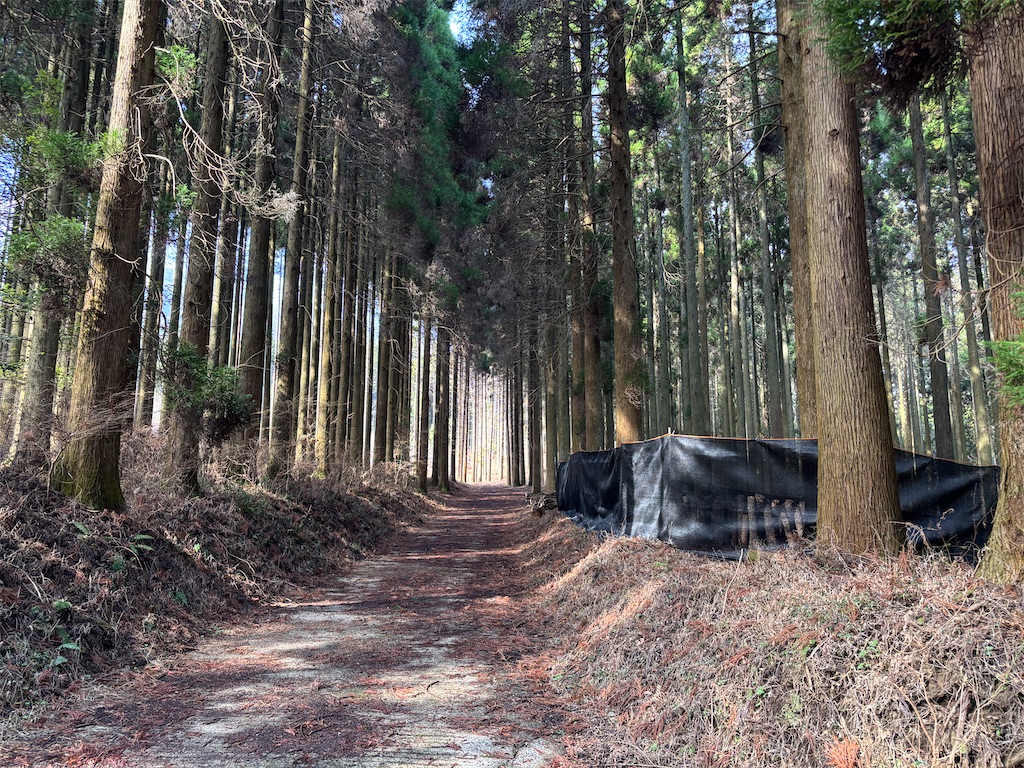 f:id:chitoseclimb:20260410200901j:image f:id:chitoseclimb:20260410200901j:image