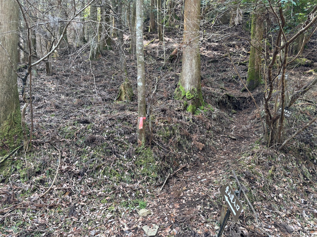 f:id:chitoseclimb:20260410200904j:image f:id:chitoseclimb:20260410200904j:image