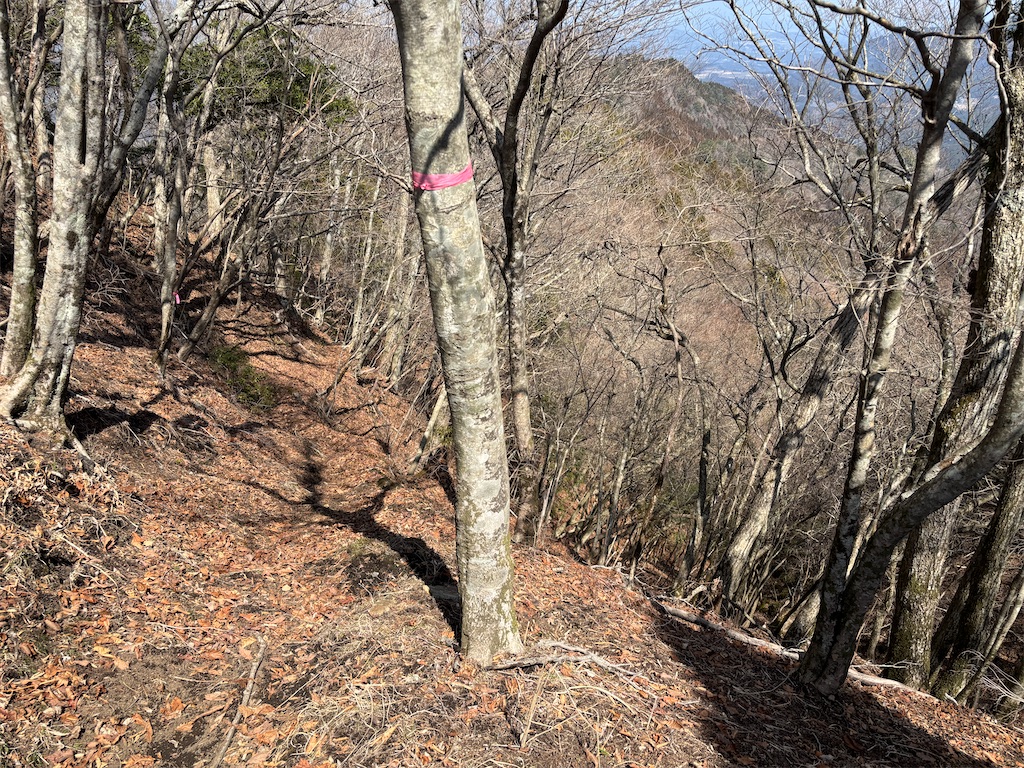 f:id:chitoseclimb:20260410200955j:image f:id:chitoseclimb:20260410200955j:image