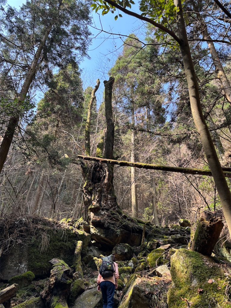 f:id:chitoseclimb:20260410201037j:image f:id:chitoseclimb:20260410201037j:image