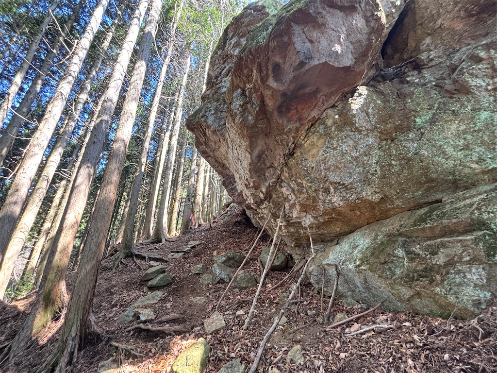 f:id:chitoseclimb:20260410201107j:image f:id:chitoseclimb:20260410201107j:image
