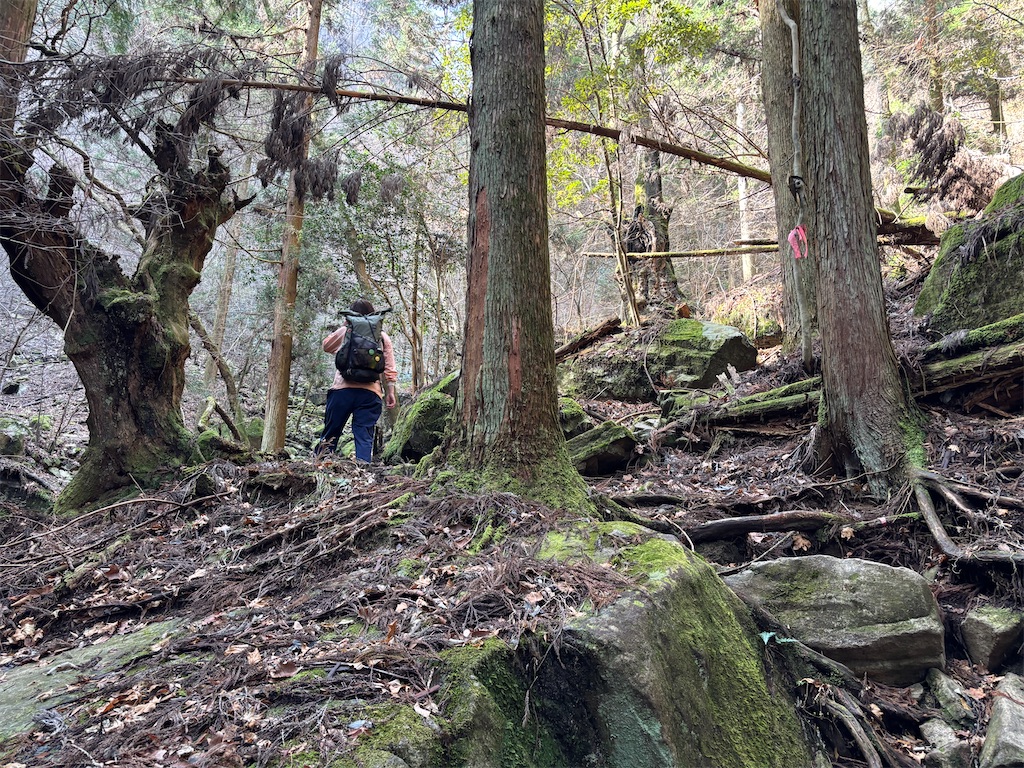 f:id:chitoseclimb:20260410201422j:image f:id:chitoseclimb:20260410201422j:image