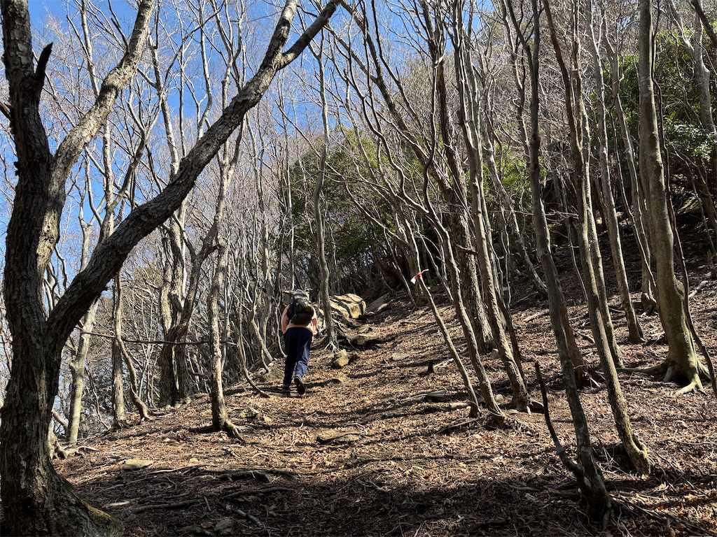 f:id:chitoseclimb:20260410201426j:image f:id:chitoseclimb:20260410201426j:image