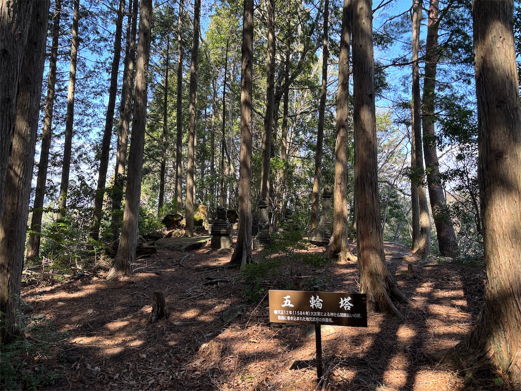 f:id:chitoseclimb:20260410201430j:image f:id:chitoseclimb:20260410201430j:image