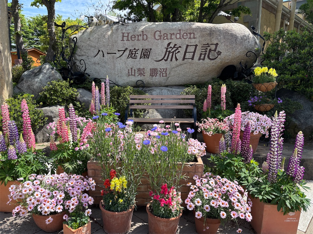 f:id:chitoseclimb:20260419232459j:image f:id:chitoseclimb:20260419232459j:image