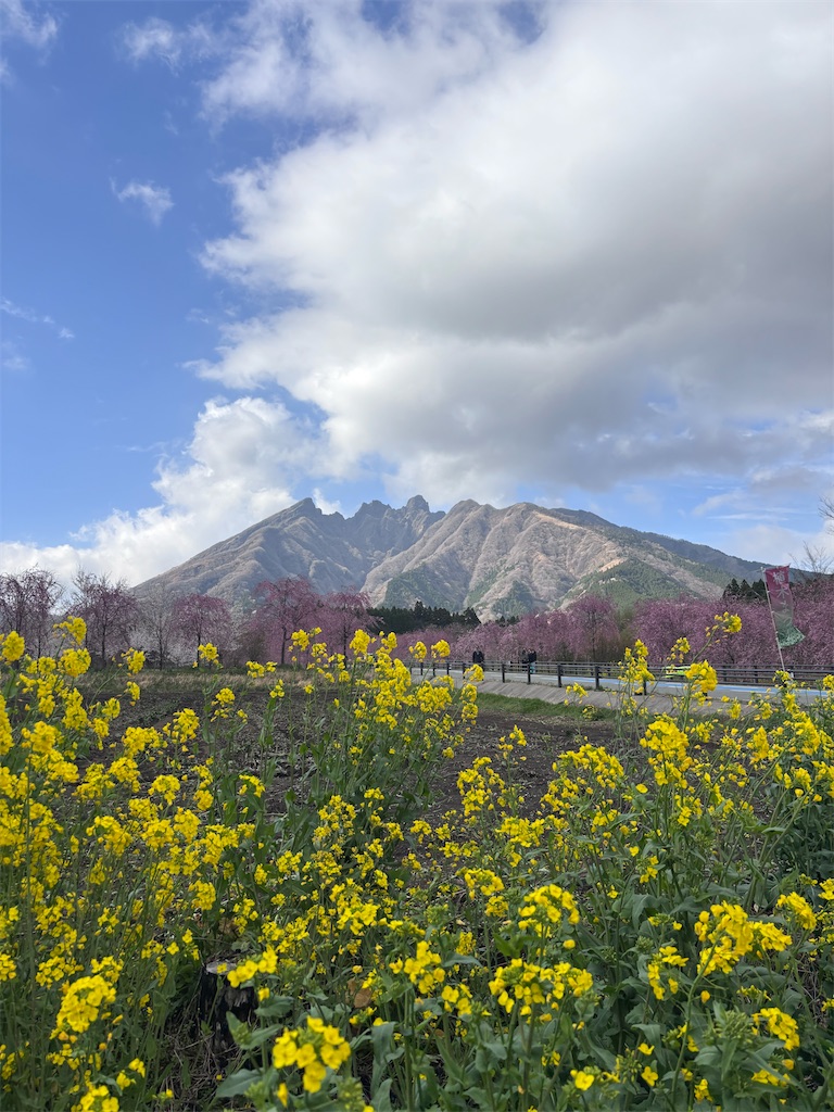 f:id:chitoseclimb:20260506110909j:image f:id:chitoseclimb:20260506110909j:image