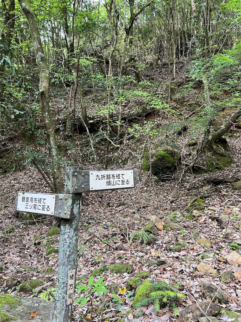f:id:chitoseclimb:20260507200547j:image f:id:chitoseclimb:20260507200547j:image